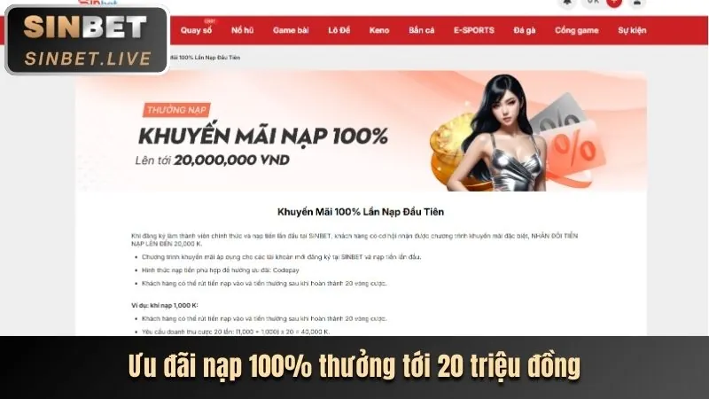 Hình ảnh minh họa cài đặt và quản lý cookie trên nền tảng VP88
